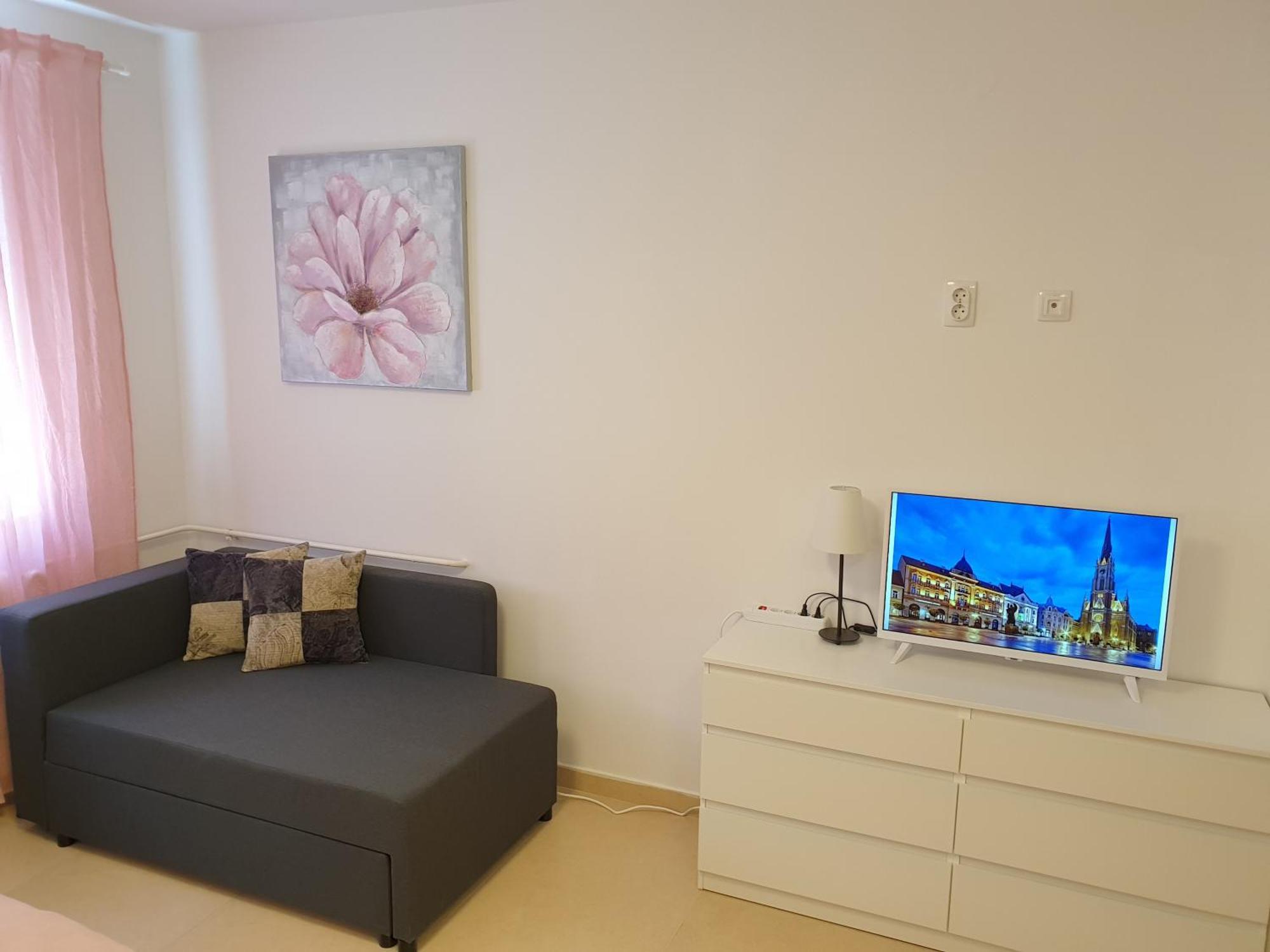 Podbara Center Apartment Novi Sad Ngoại thất bức ảnh